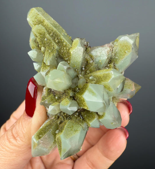 Epic! Crystal Quartz Flowers with Glittery Chlorite Crystals Specimen From Turkey