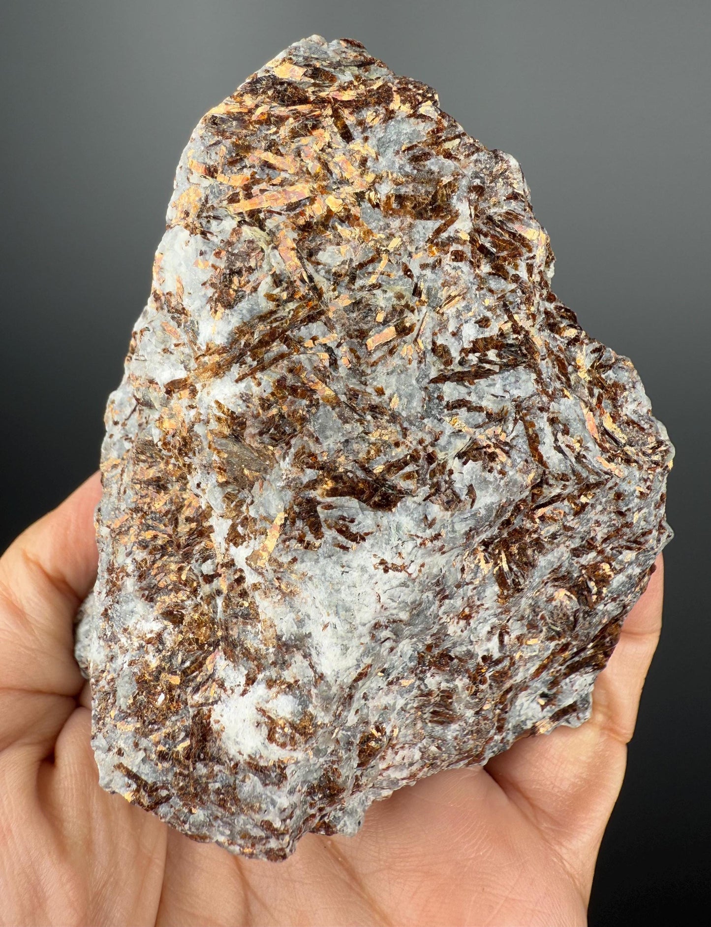 Big Size!Shinny Brown Astrophyllite Crystal Specimen