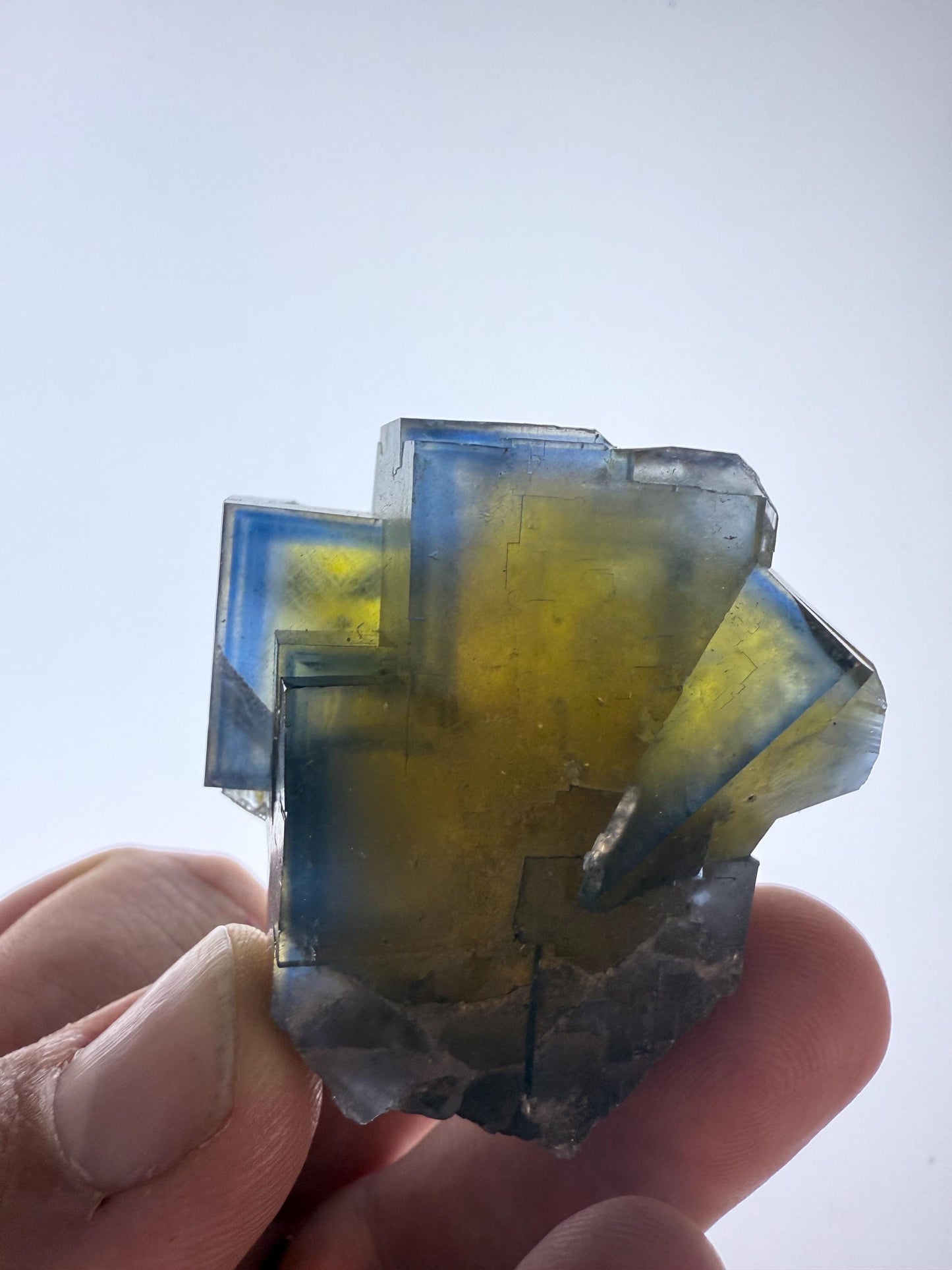 Blue - Yellow Fluorite Crystal