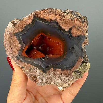 UV Reactive! Red Crater Agate, Red Crater( Red Fox) Agate Specimen