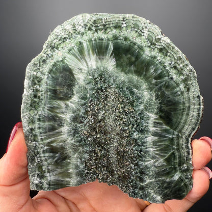 Feel the Serenity!Deep Forest Green Seraphinite Slab, Seraphinite Slab