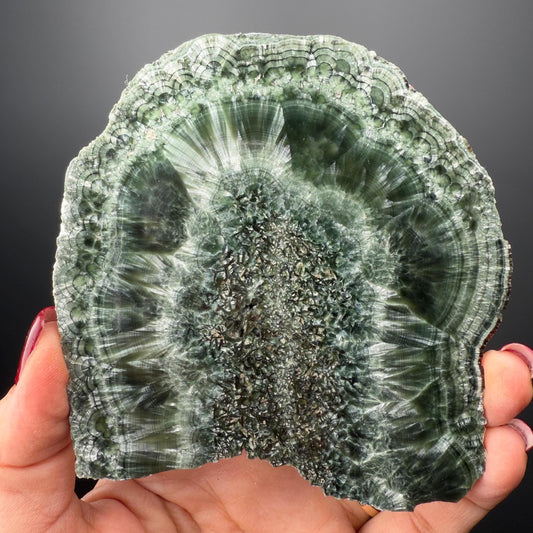 Feel the Serenity!Deep Forest Green Seraphinite Slab, Seraphinite Slab