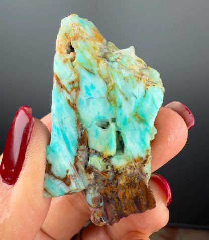 Natural Collawood (Colla Petrified Wood) with Chrysocolla