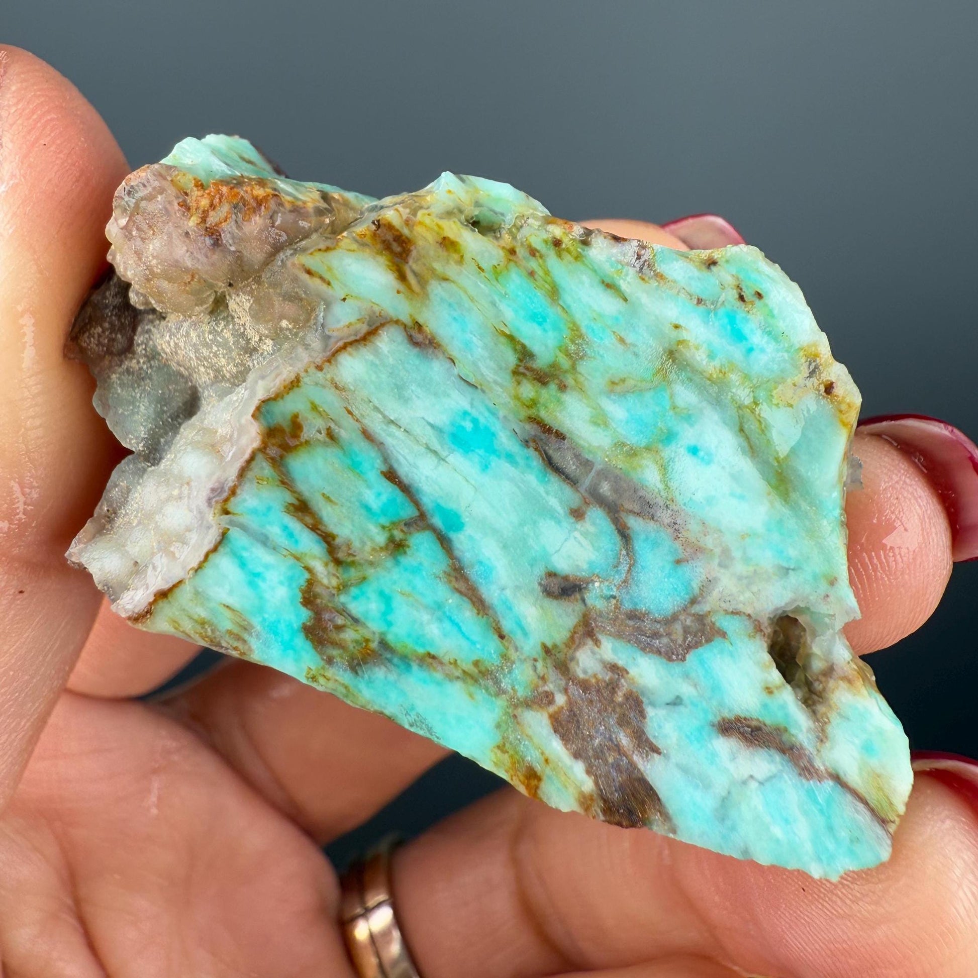 Natural Collawood (Colla Petrified Wood) with Chrysocolla