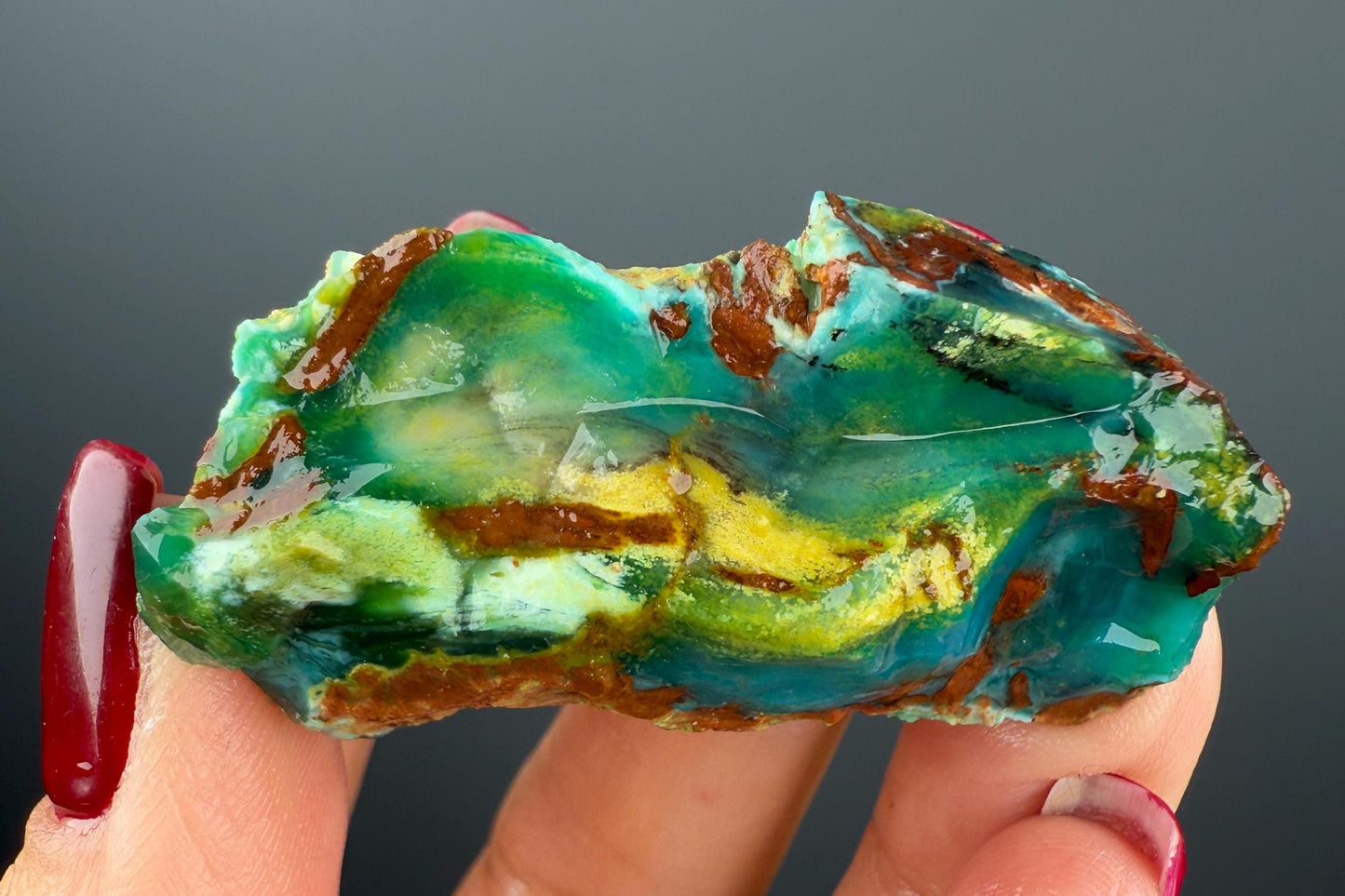 Natural Collawood (Colla Petrified Wood) with Chrysocolla and Malachite