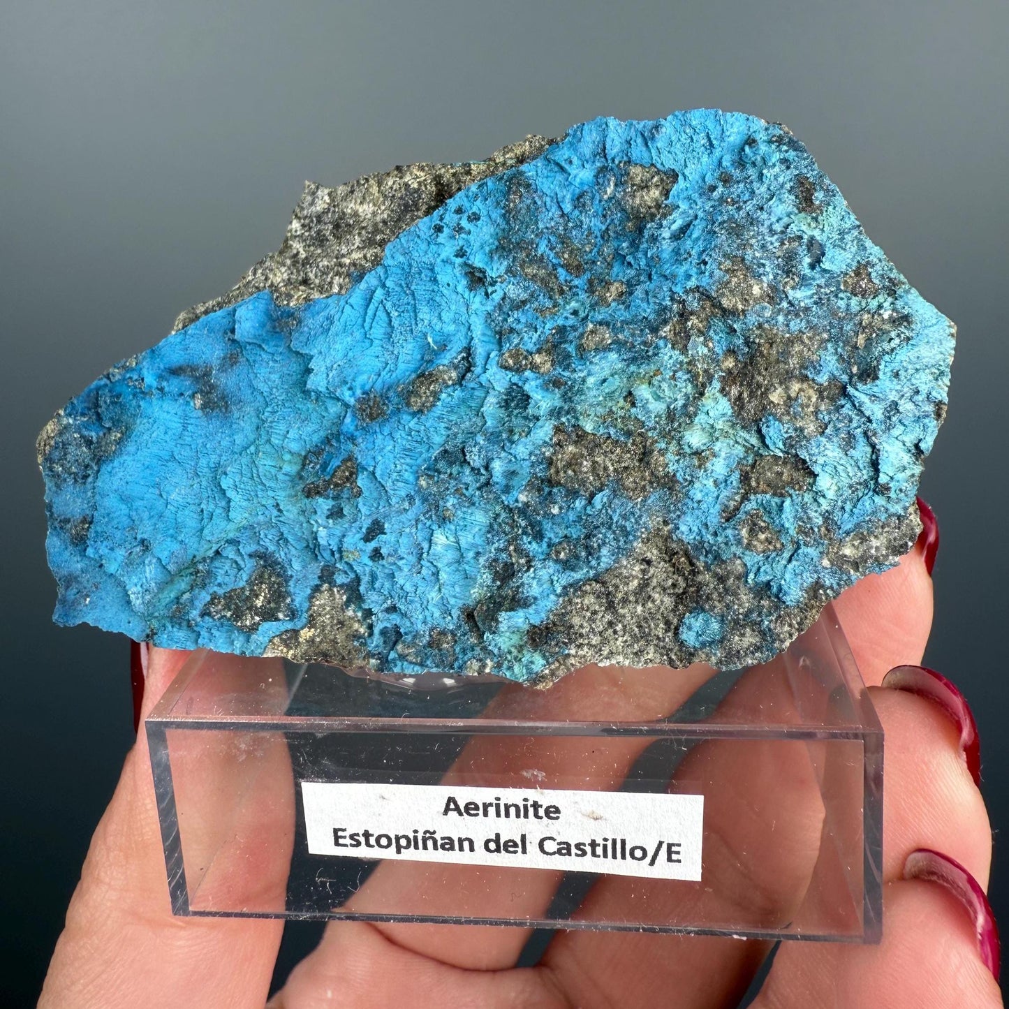 Rare! Blue Aerinite Crystal from Spain (New Location)