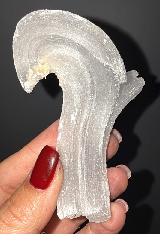 Amazing Piece ! Druzy Rams Horn Calcite Crystal,Ocean Wave Ram Horn Selenite