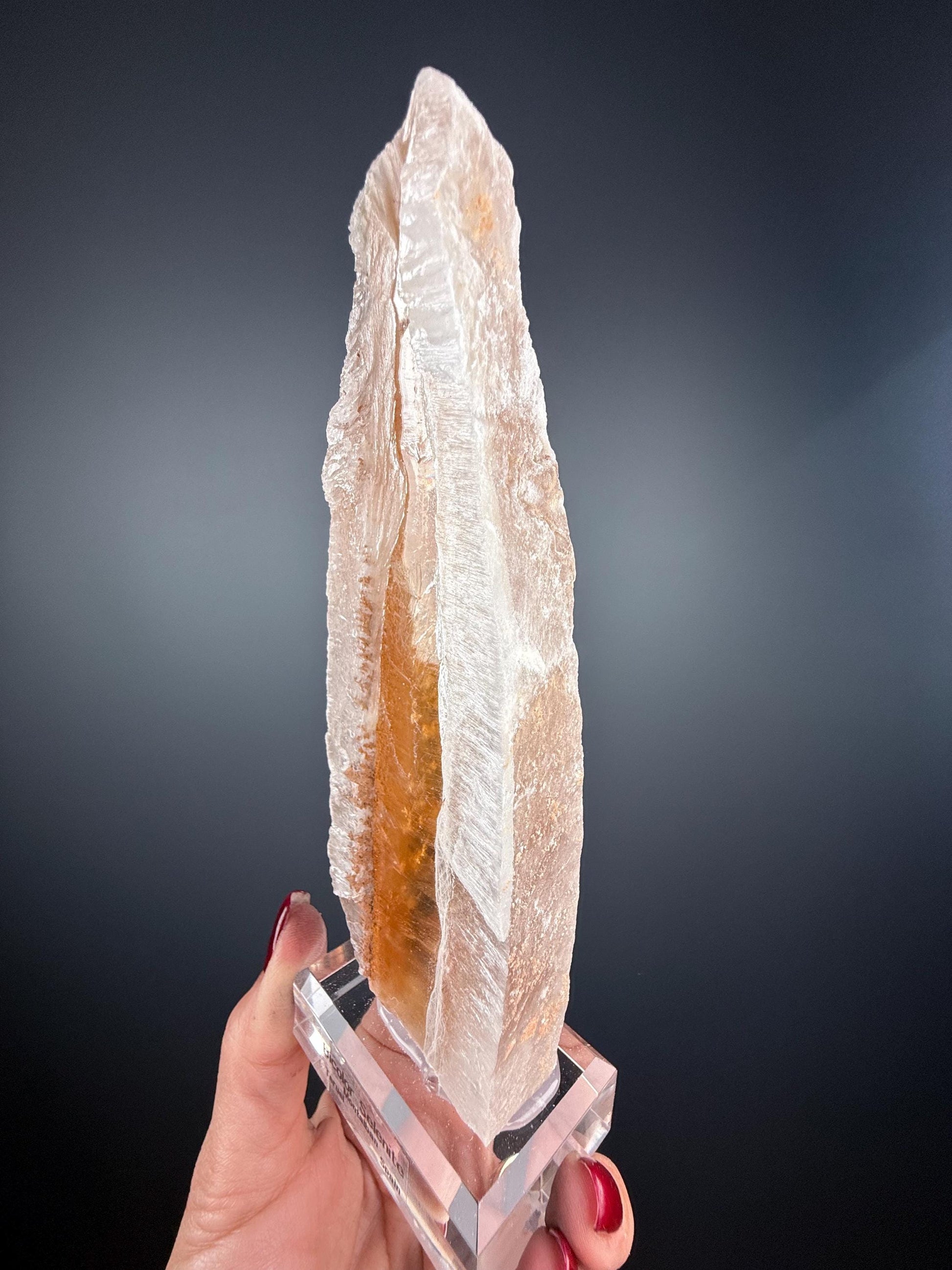 Bicolor Selenite from Spain