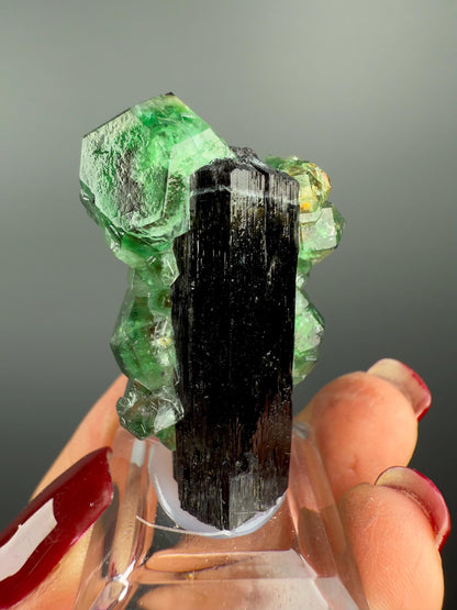 Fluorite on black Tourmaline Crystal (Lollipop Pocket), Erongo, Namibia