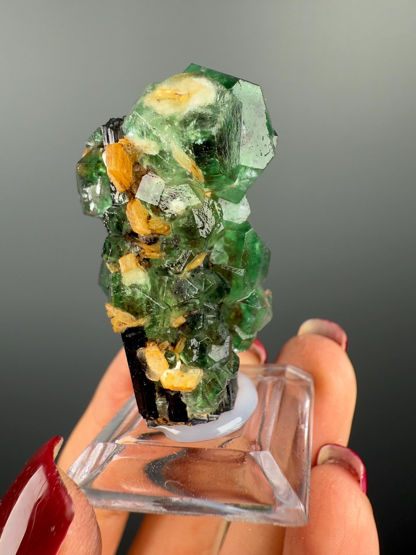 Fluorite on black Tourmaline Crystal (Lollipop Pocket), Erongo, Namibia