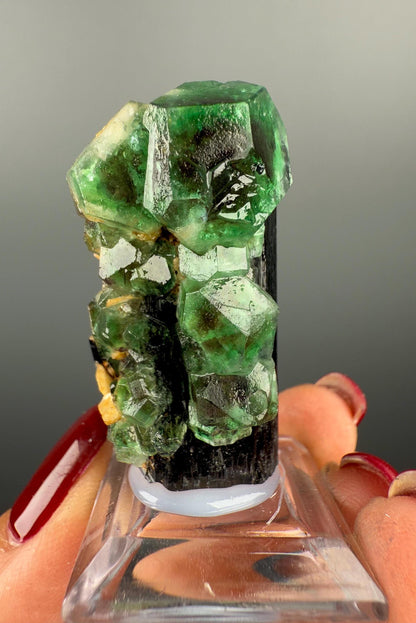 Fluorite on black Tourmaline Crystal (Lollipop Pocket), Erongo, Namibia