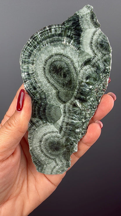 Feel the Serenity!Deep Forest Green Seraphinite Slab, Seraphinite Slab