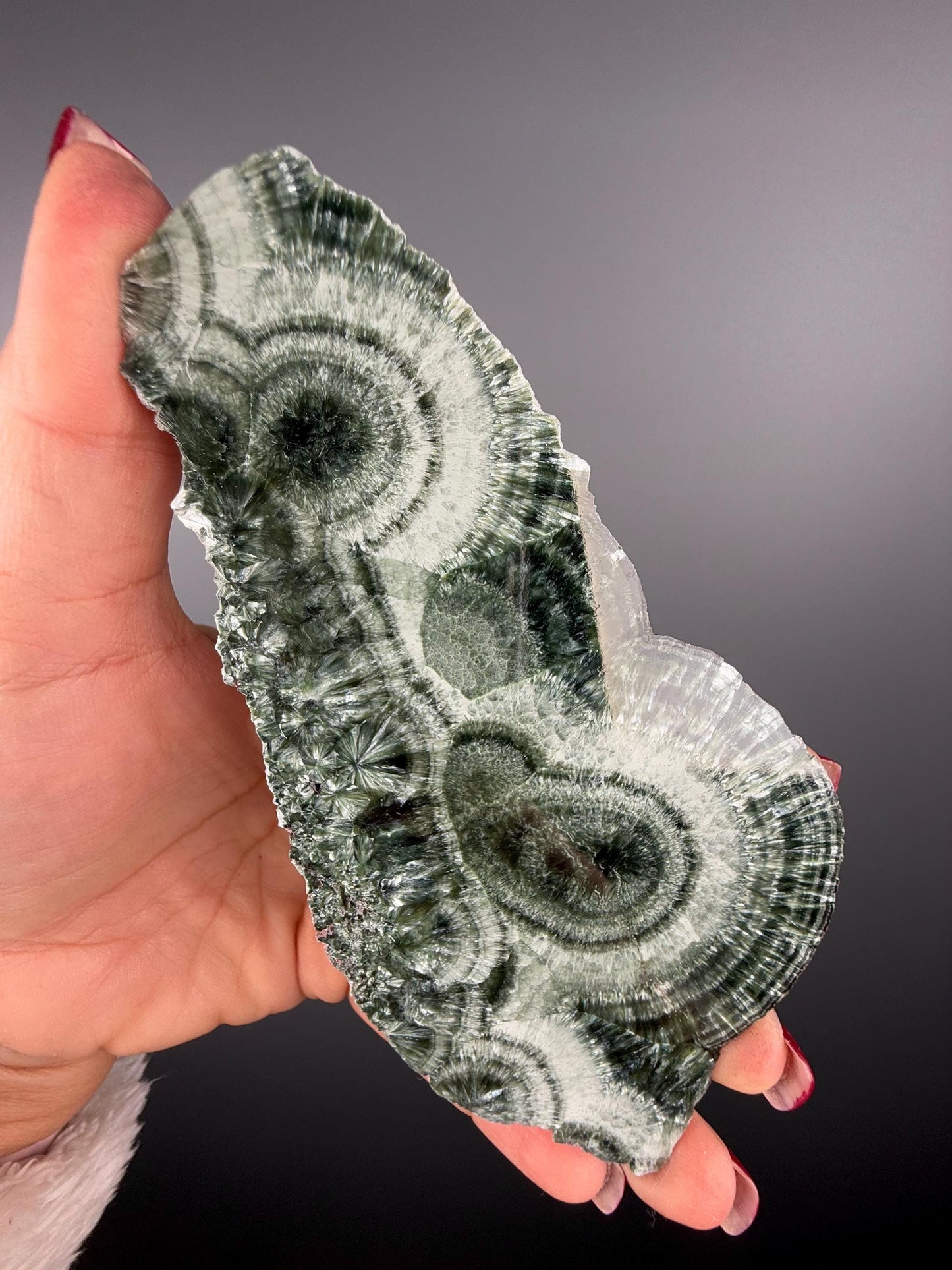 Feel the Serenity!Deep Forest Green Seraphinite Slab, Seraphinite Slab