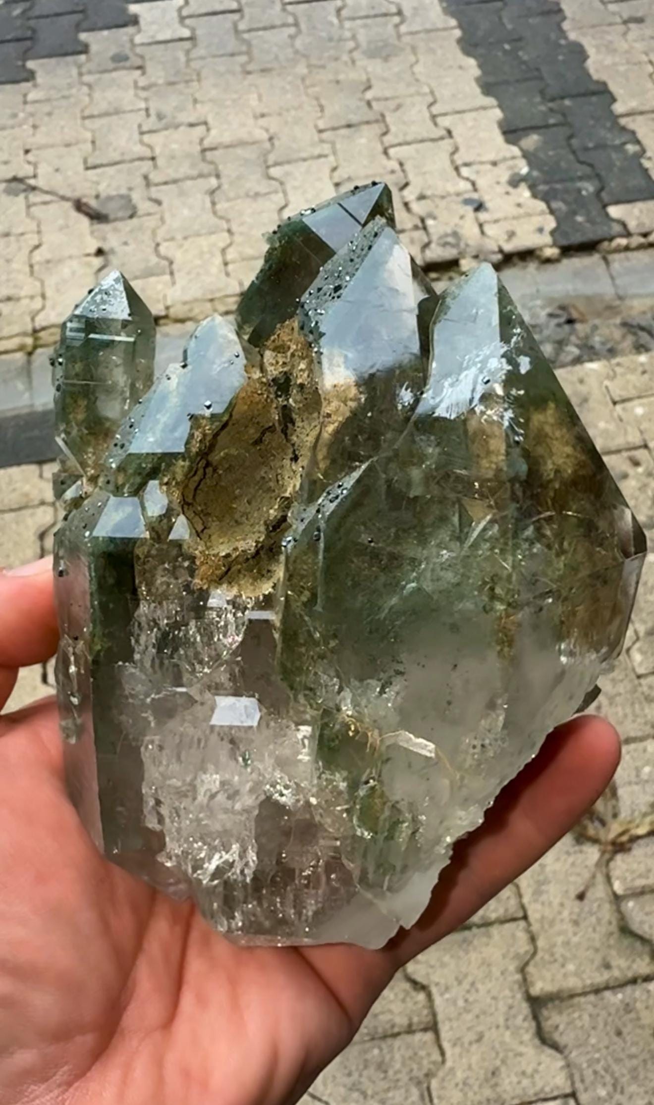 Amazing Energy! Himalayan Clear Quartz with Golden Rutile and Green Chlorite from Himalayas