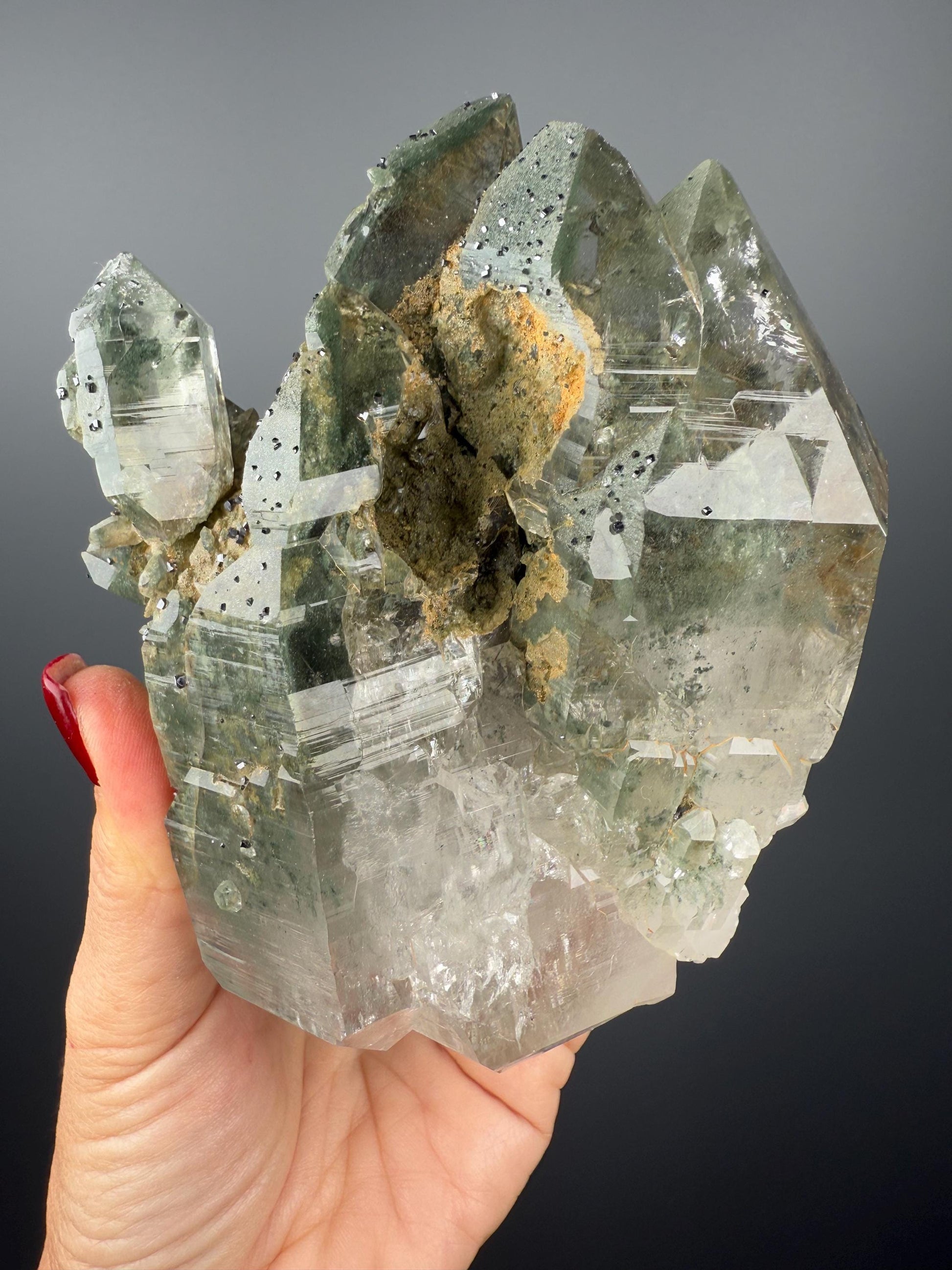 Amazing Energy! Himalayan Clear Quartz with Golden Rutile and Green Chlorite from Himalayas