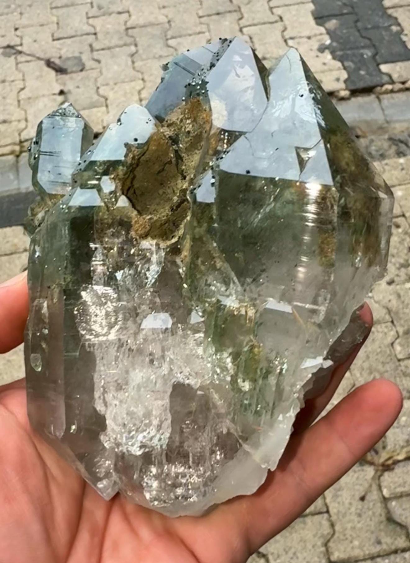 Amazing Energy! Himalayan Clear Quartz with Golden Rutile and Green Chlorite from Himalayas