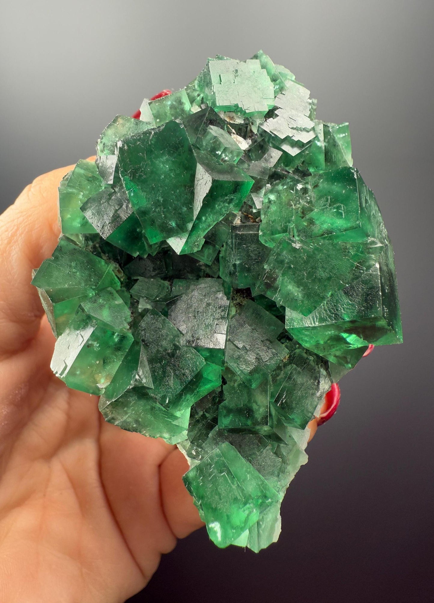 Color Change Green-Purple Fluorite Specimen from Heavy Metal Pocket, Rogerly,England