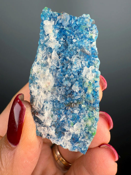 Amazing Piece! Druzy Blue Shattuckite with Quartz Crystal Specimen