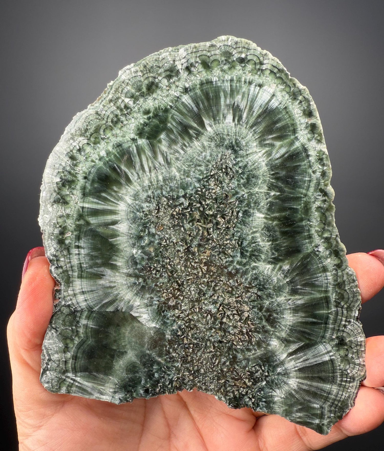 Feel the Serenity!Deep Forest Green Seraphinite Slab, Seraphinite Slab