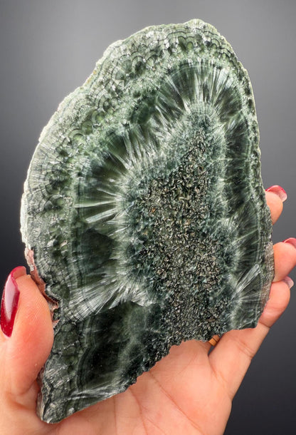 Feel the Serenity!Deep Forest Green Seraphinite Slab, Seraphinite Slab