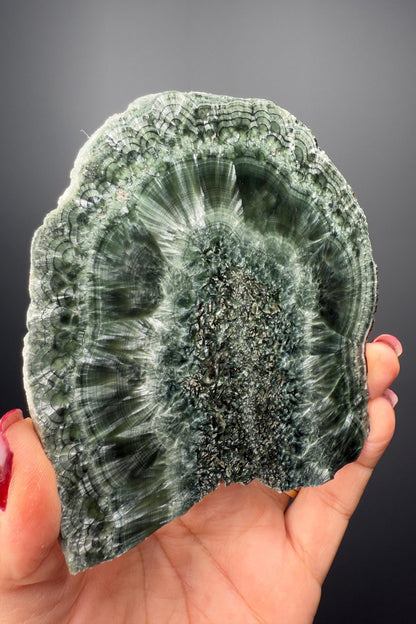 Feel the Serenity!Deep Forest Green Seraphinite Slab, Seraphinite Slab