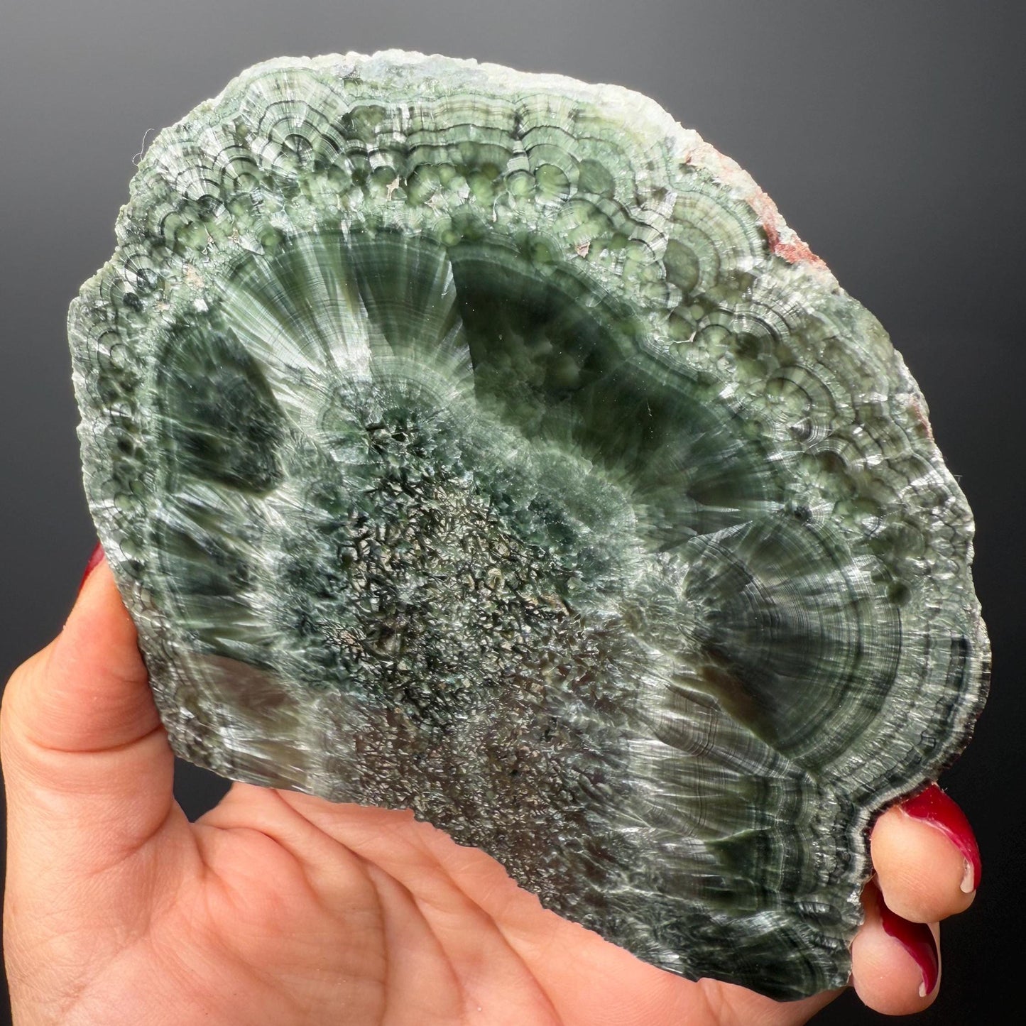 Feel the Serenity!Deep Forest Green Seraphinite Slab, Seraphinite Slab