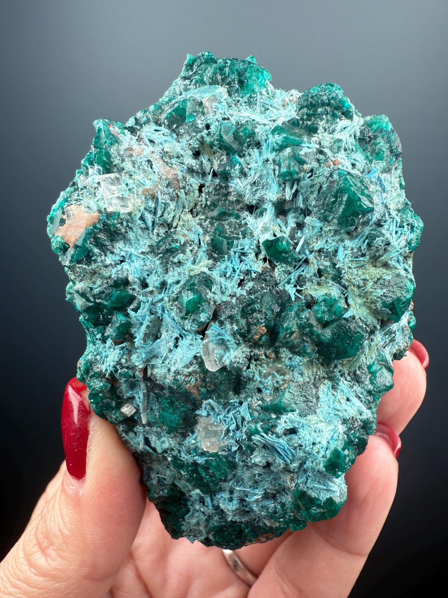 Stunning! Emerald Green Dioptase with Blue Shattuckite Spray Mineral Specimen