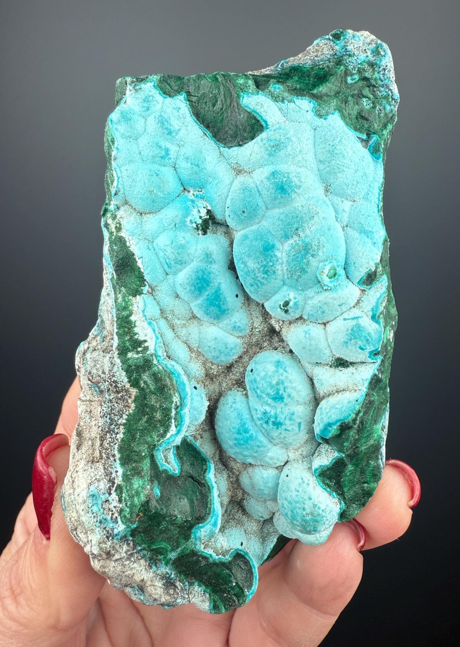 Blue Chrysocolla Bubbles on Malachite Specimen