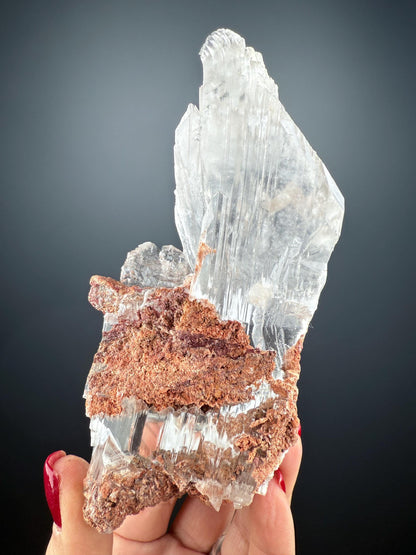 Amazing Piece! Doubly terminated Selenite Crystal from Naica,Mexico