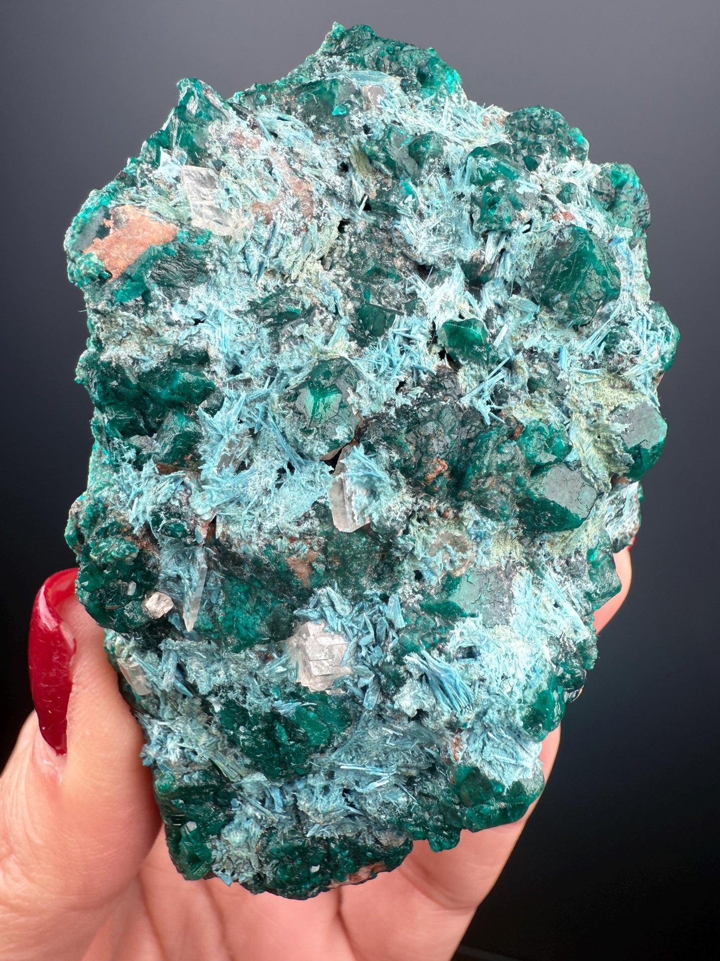 Stunning! Emerald Green Dioptase with Blue Shattuckite Spray Mineral Specimen