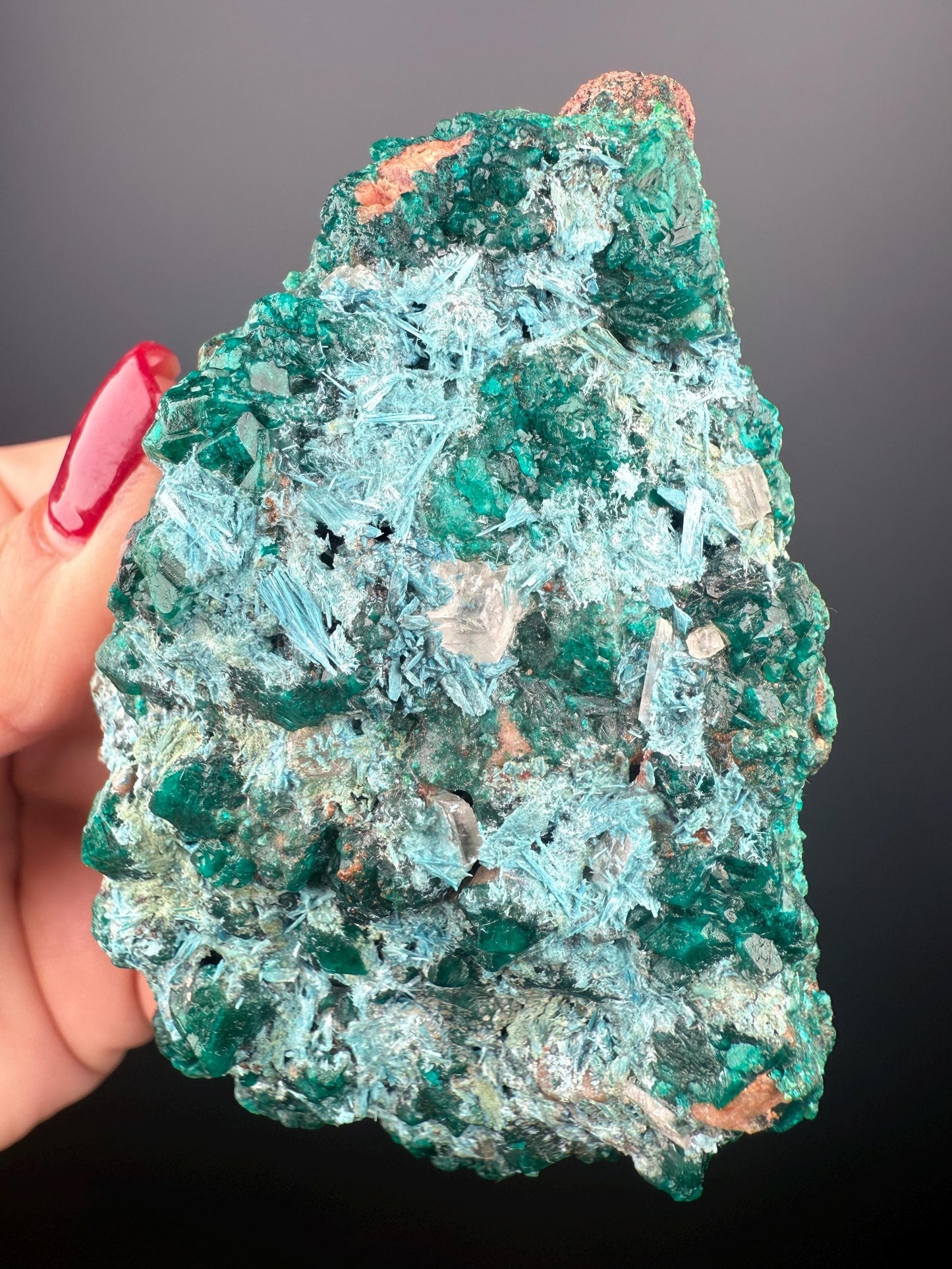 Stunning! Emerald Green Dioptase with Blue Shattuckite Spray Mineral Specimen