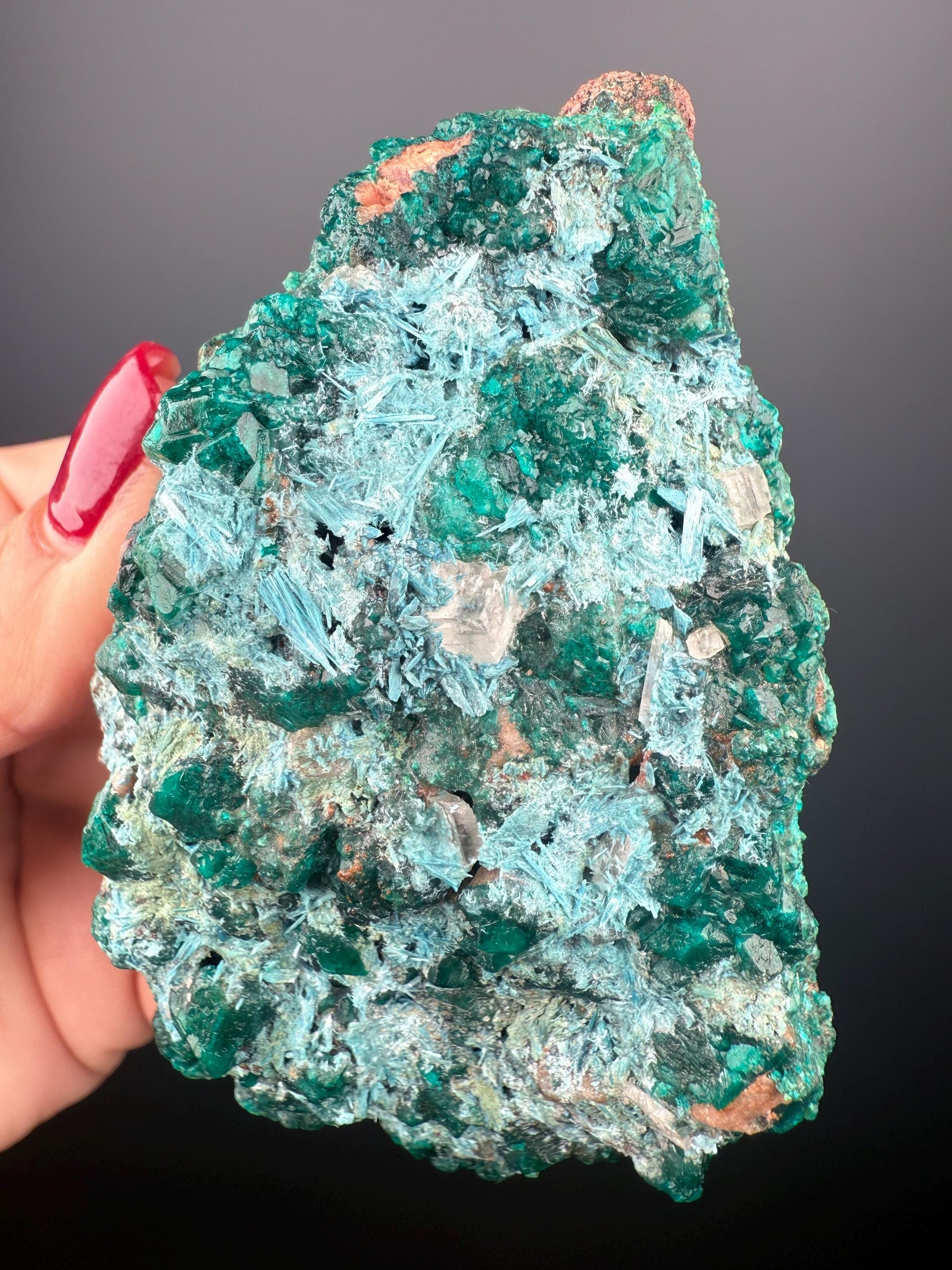 Stunning! Emerald Green Dioptase with Blue Shattuckite Spray Mineral Specimen