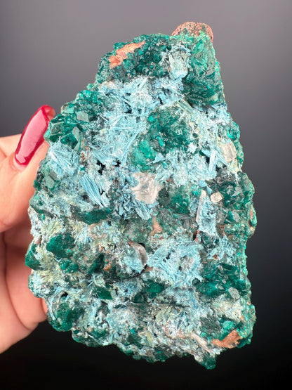 Stunning! Emerald Green Dioptase with Blue Shattuckite Spray Mineral Specimen