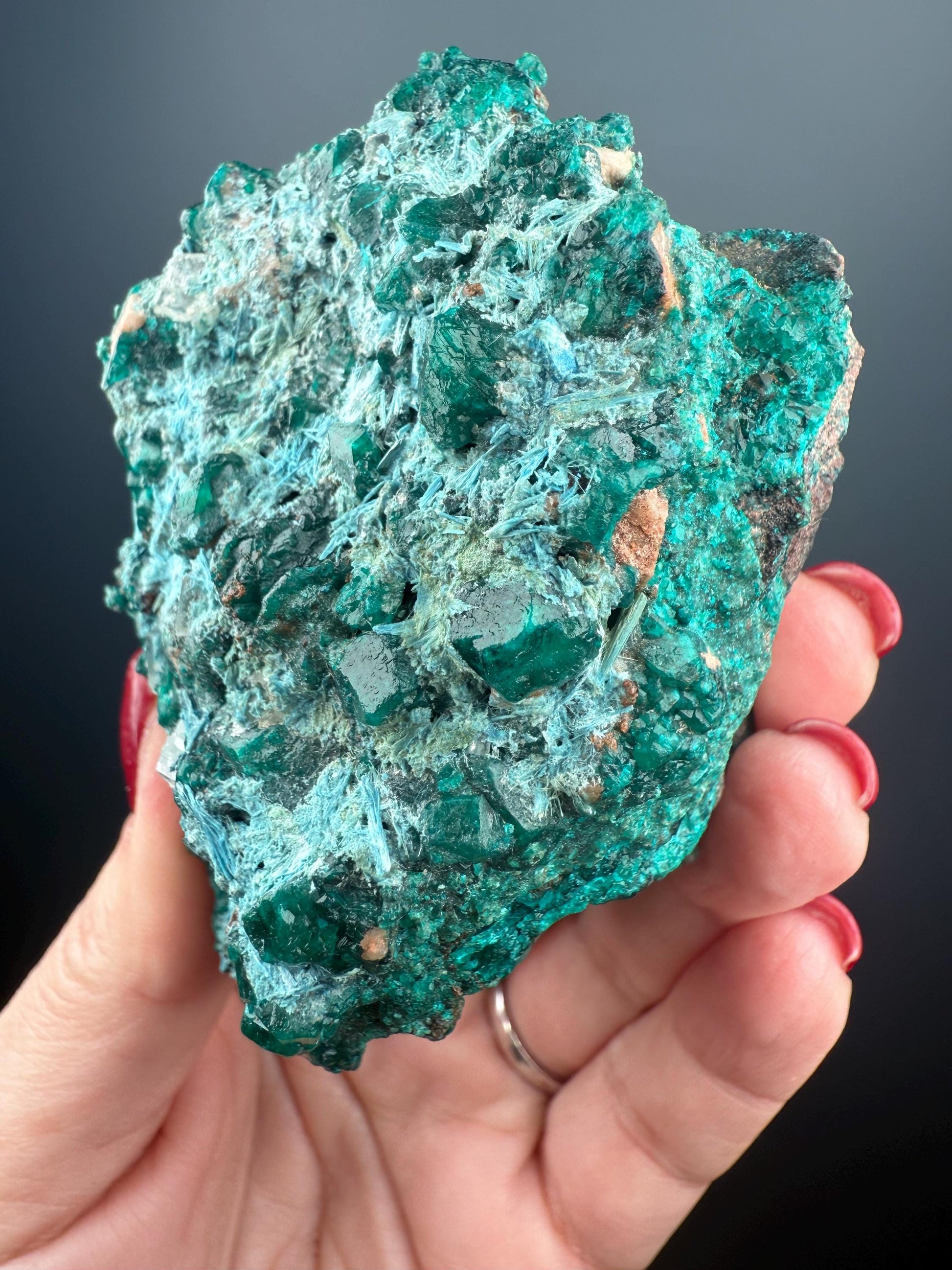 Stunning! Emerald Green Dioptase with Blue Shattuckite Spray Mineral Specimen