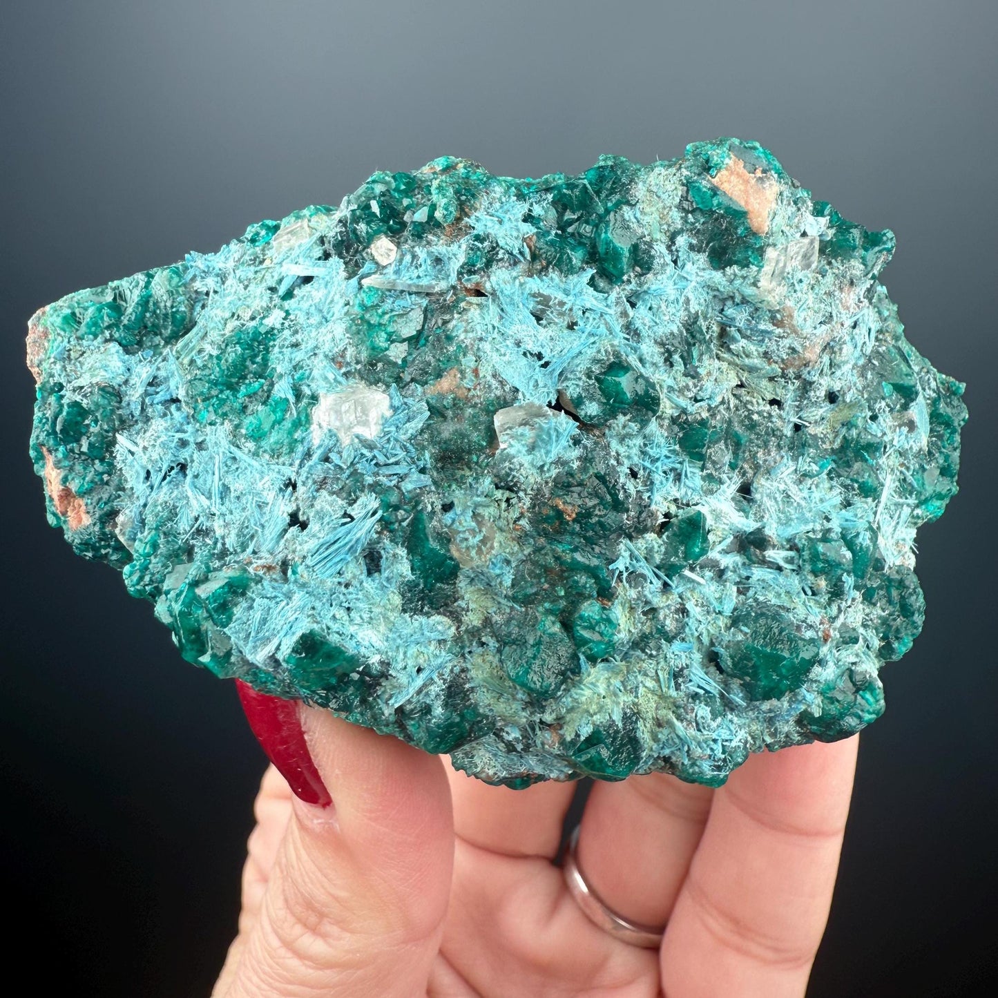 Stunning! Emerald Green Dioptase with Blue Shattuckite Spray Mineral Specimen