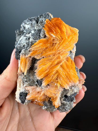 Bladed Vivid Barite with Metallic Galena and Cerrussite Crystal Specimen