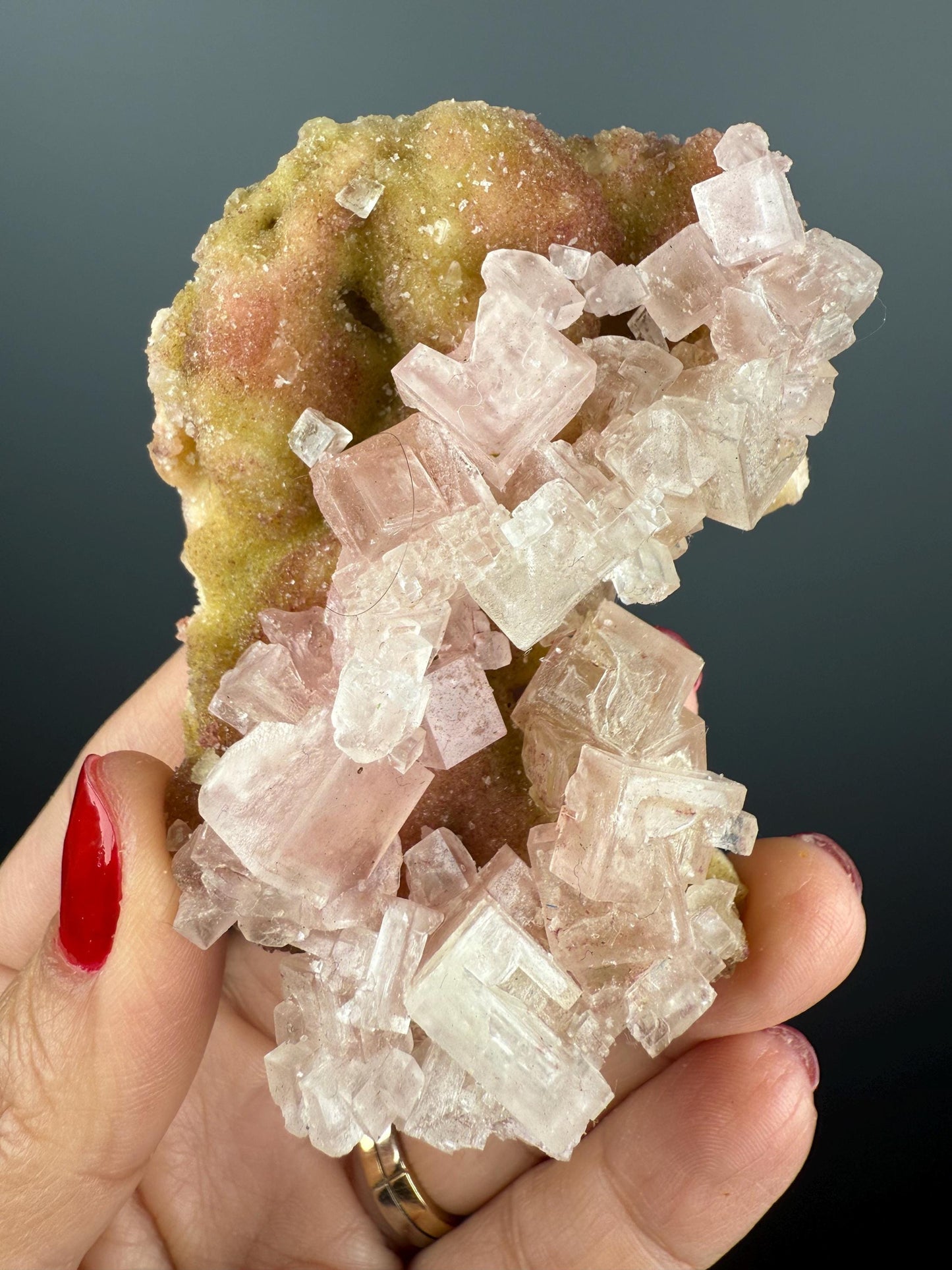 New Find! Bicolor Halite Crystal Rainbow Halite on Trona, Halite Crystal