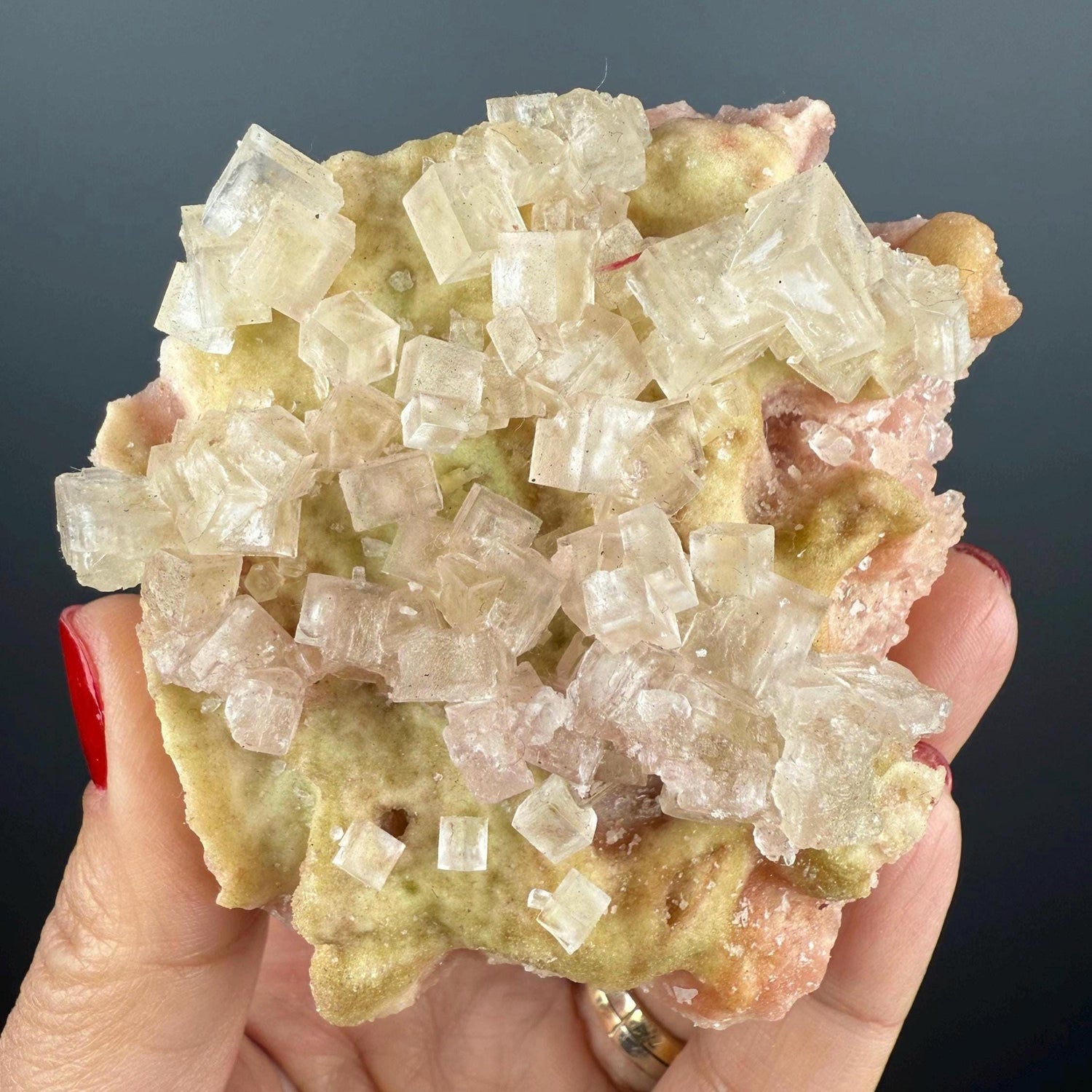 New Find! Bicolor Halite Crystal Rainbow Halite on Trona, Halite Crystal