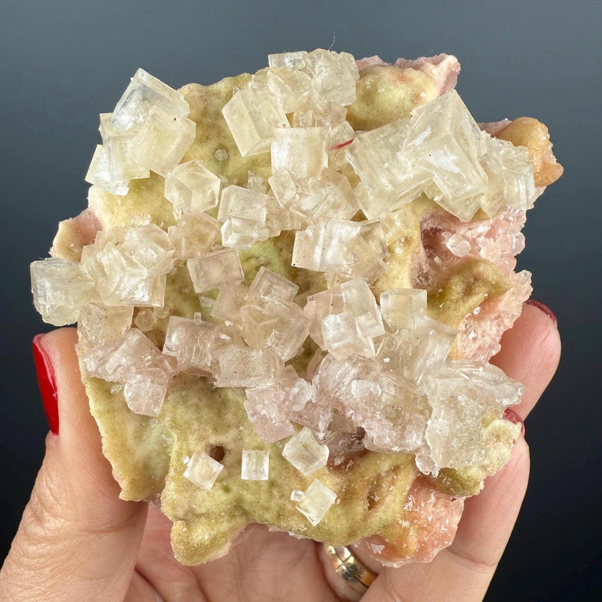 New Find! Bicolor Halite Crystal Rainbow Halite on Trona, Halite Crystal
