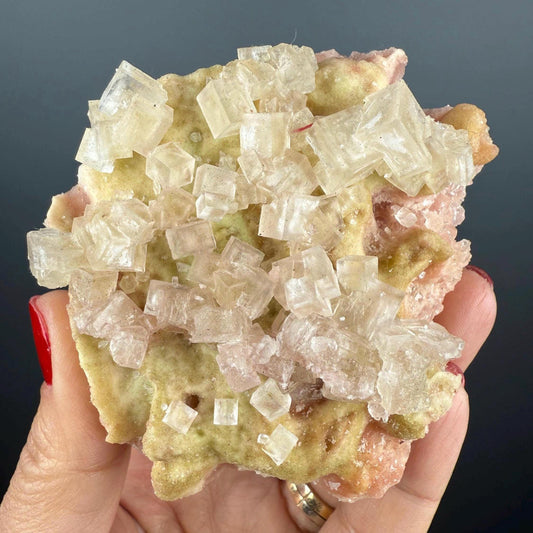 New Find! Bicolor Halite Crystal Rainbow Halite on Trona, Halite Crystal