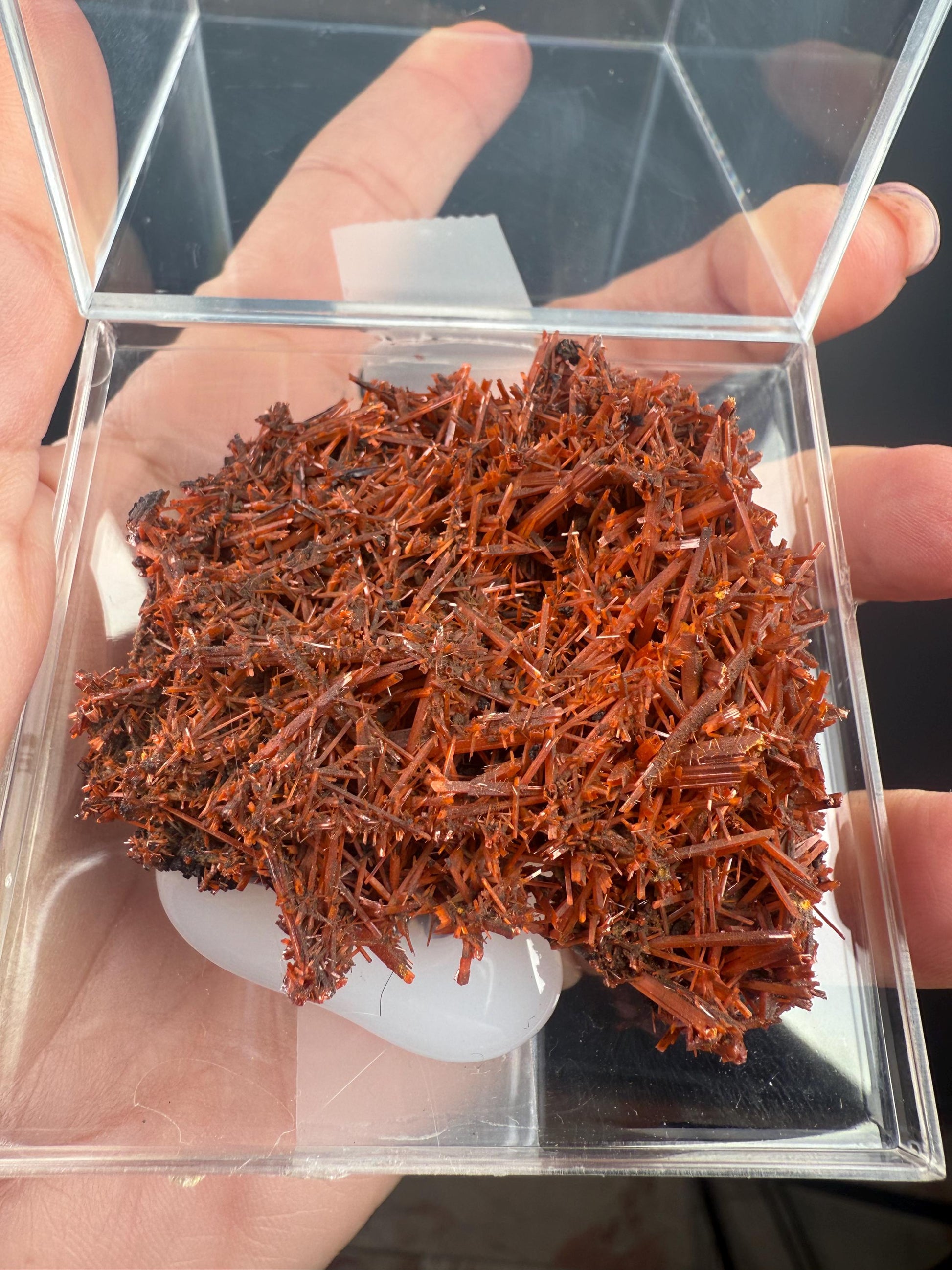 Fire Orange Crocoite Crystal Specimen