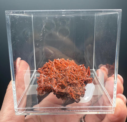 Fire Orange Crocoite Crystal Specimen