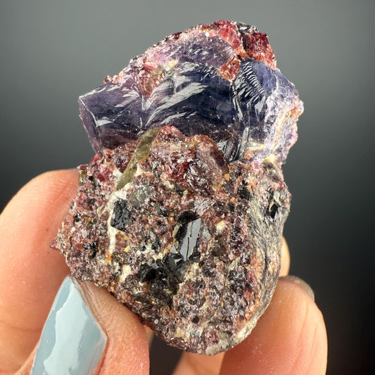 Amazing Piece! Corundum Var. Sapphire on Garnet Specimen