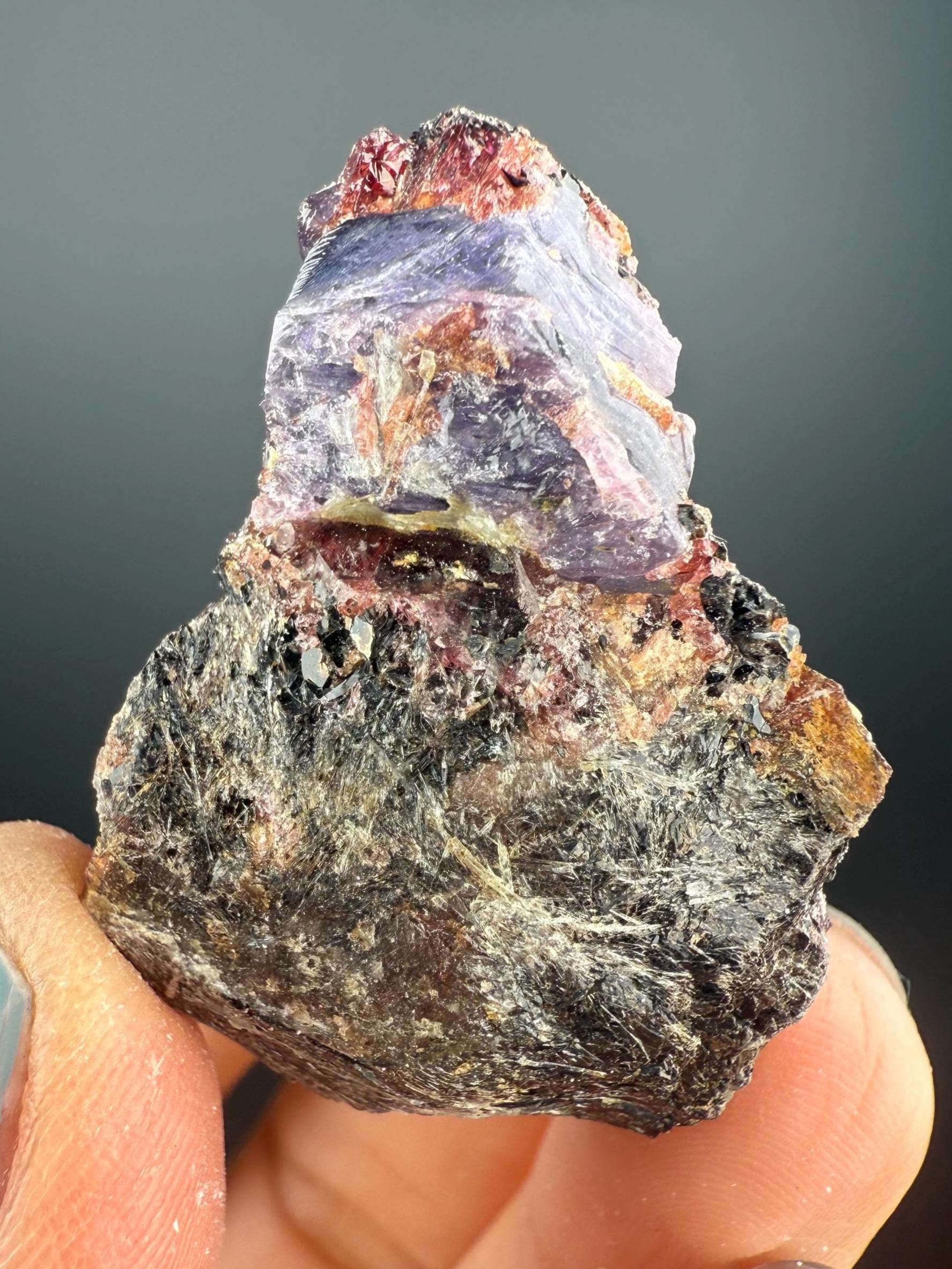 Amazing Piece! Corundum Var. Sapphire on Garnet Specimen