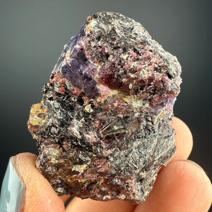 Amazing Piece! Corundum Var. Sapphire on Garnet Specimen
