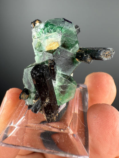 Fluorite with Black Tourmaline Crystal (Lollipop Pocket), Erongo, Namibia