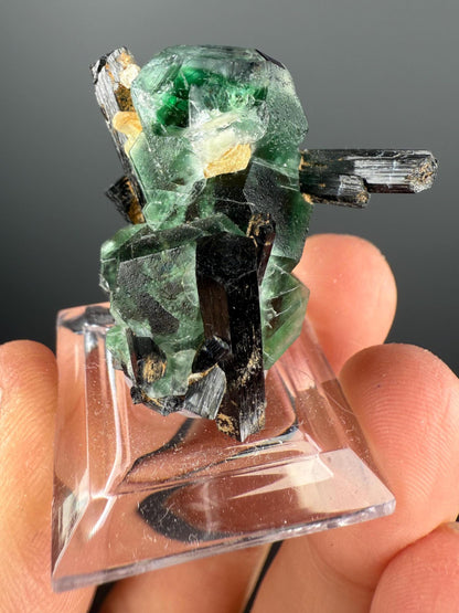 Fluorite with Black Tourmaline Crystal (Lollipop Pocket), Erongo, Namibia