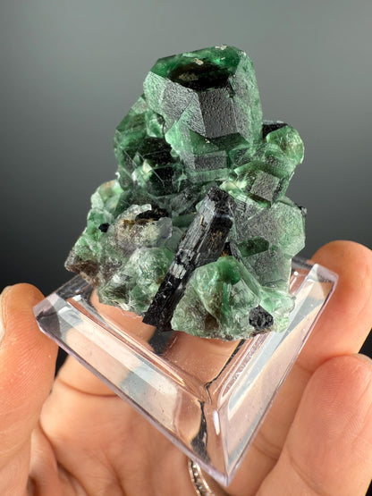 Fluorite with Black Tourmaline Crystal (Lollipop Pocket), Erongo, Namibia