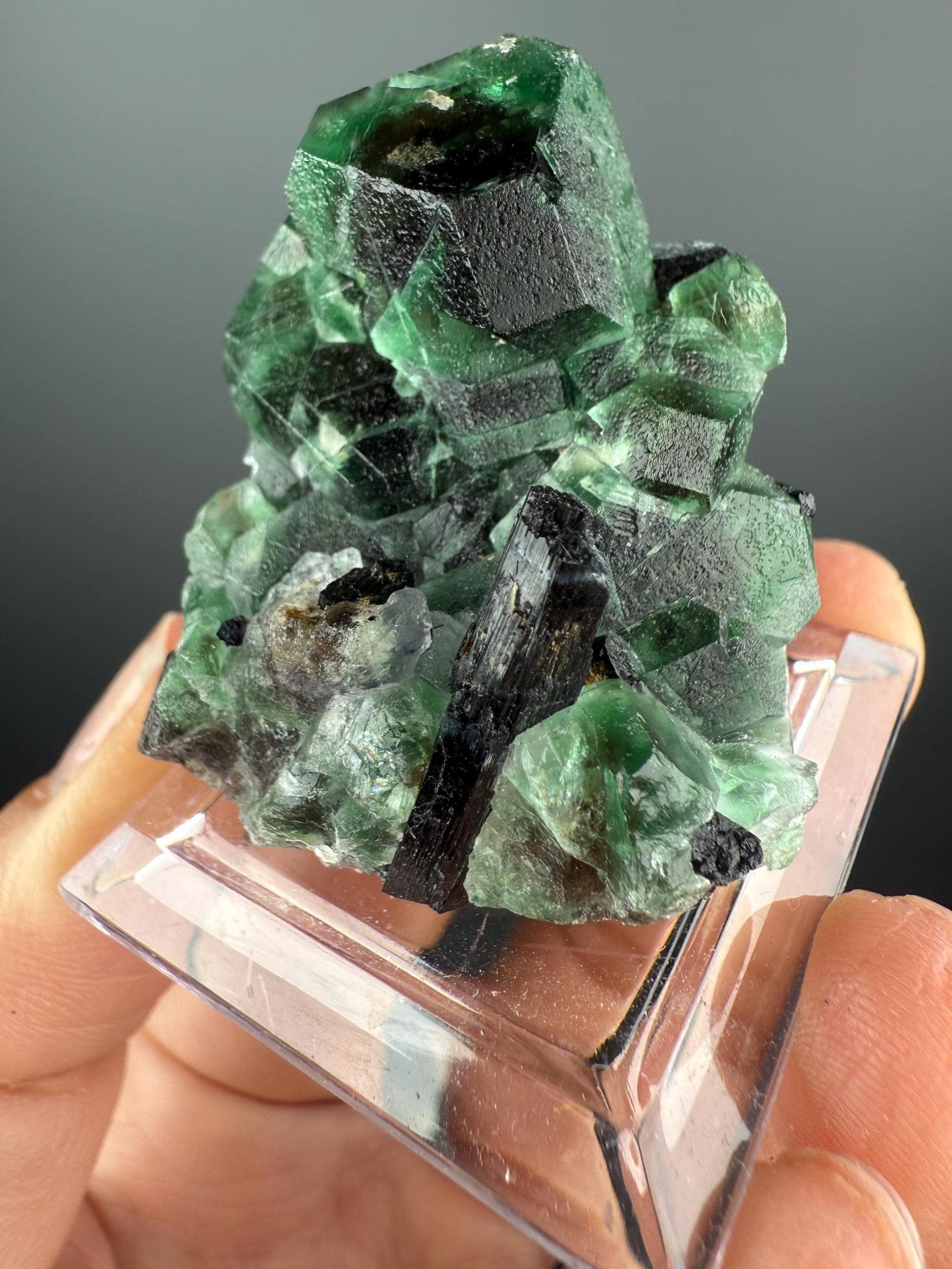 Fluorite with Black Tourmaline Crystal (Lollipop Pocket), Erongo, Namibia