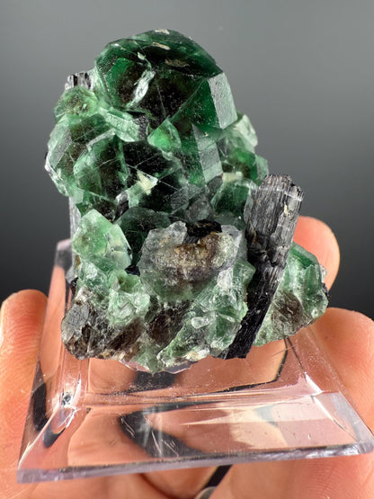 Fluorite with Black Tourmaline Crystal (Lollipop Pocket), Erongo, Namibia